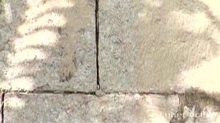 Breann mcgregor - porn video