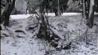 snow fucking hard - porn video